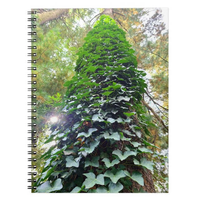 SpiralNotebook Notizblock (Vorderseite)