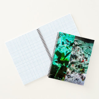 SpiralNotebook Notizbuch