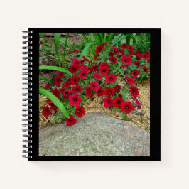 SpiralNotebook Notizbuch