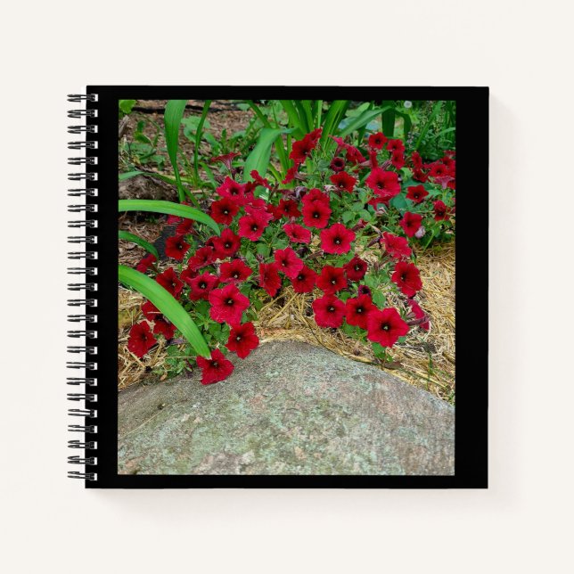 SpiralNotebook Notizbuch (Vorderseite)