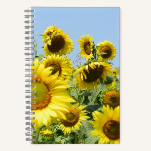 Spiralnotebook-Sonnenblumen Notizbuch