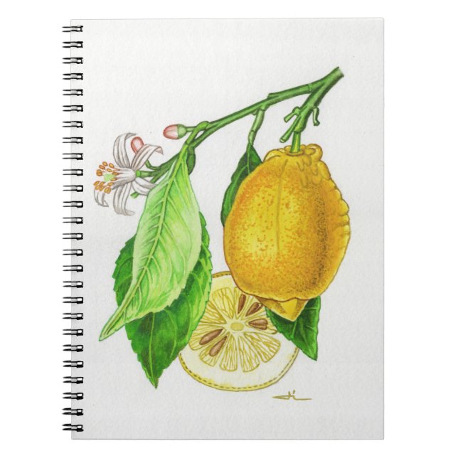 Spiralnotizbuch Zitrone “Limonier ferraris” Notizblock (Vorderseite)