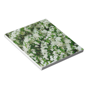 Spirea Arguta Notizblock
