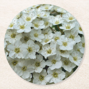 Spirea Arguta Runder Pappuntersetzer