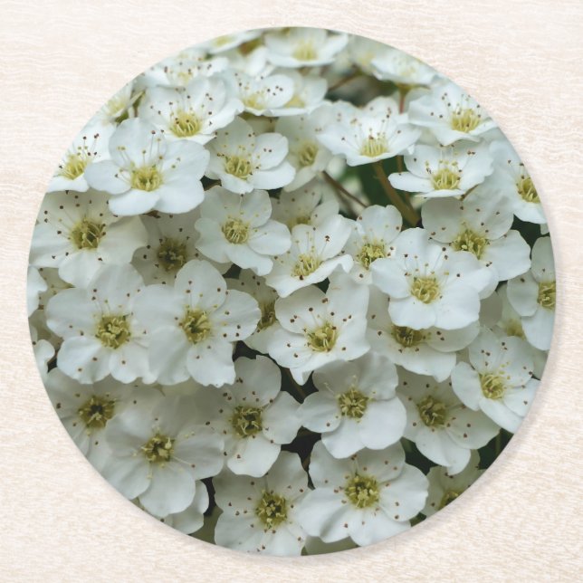 Spirea Arguta Runder Pappuntersetzer (Vorderseite)