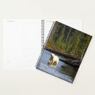 Spirit Bear Calendar Planer