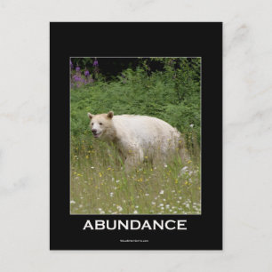 Spirit Bear Geschenke Postkarte