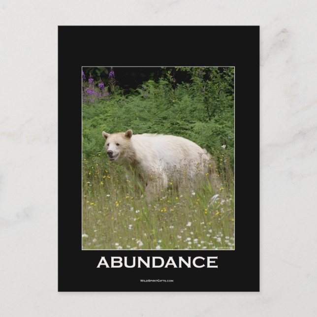 Spirit Bear Geschenke Postkarte (Vorderseite)