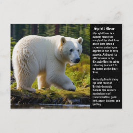 Spirit Bear Postcard Feiertagspostkarte