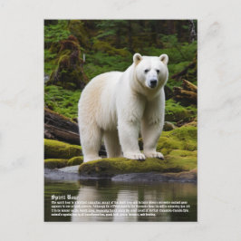 Spirit Bear Postkarte