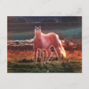Spirit Dream Horse Postkarte