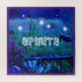 Spirit Lights Orbs Blue Night Marsh Meadow