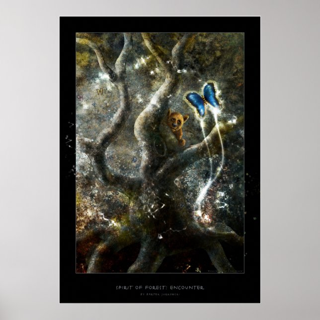 Spirit of Forest : Rencontre - Poster (Devant)