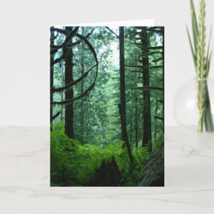 Spirit of the Woods 2 - Carte de voeux