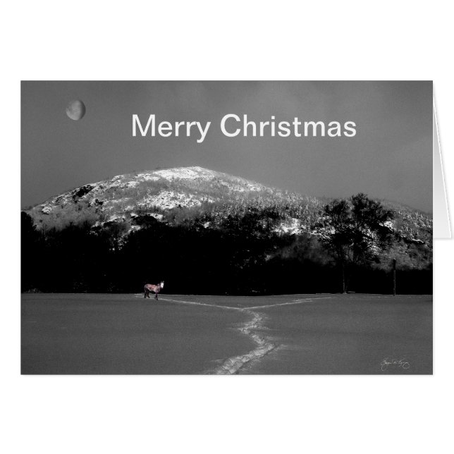 Spirit Pony Under Gibbbous Moon Weihnachtskarte (Vorderseite (Horizontal))