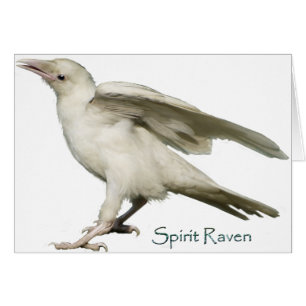 Spirit Raven II Serie