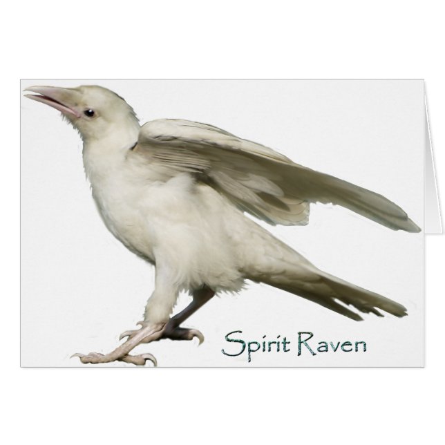 Spirit Raven II Serie (Vorderseite (Horizontal))