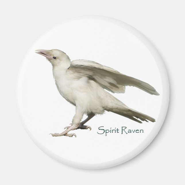 Spirit Raven II Serie Magnet (Vorne)