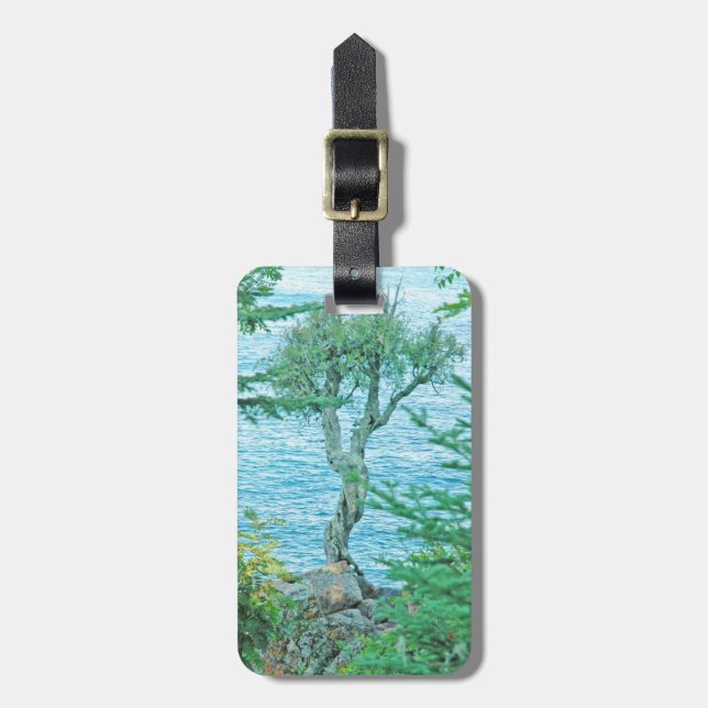 Spirit Tree Lake Superior Easy ID Personal Gepäckanhänger (Vorderseite vertikal)