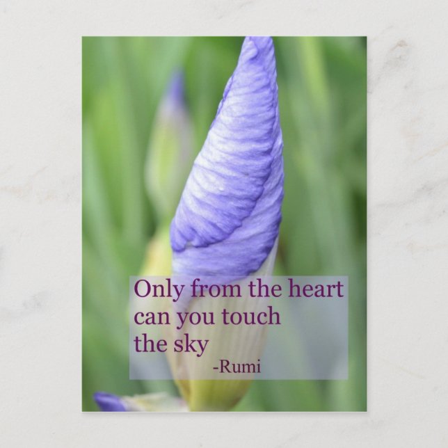 Spirituelle Iris Inspirational Rumi Zitat Postkart Postkarte (Vorderseite)