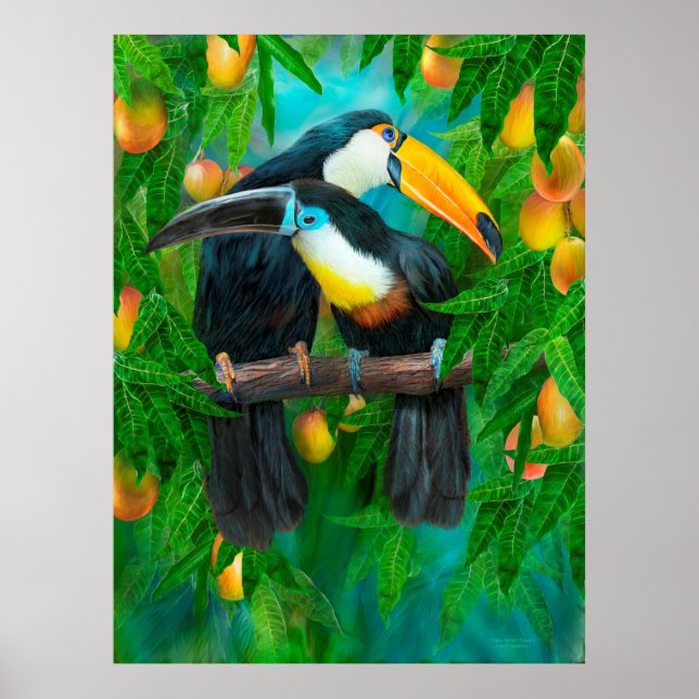 Spiritueux tropicaux - Toucans Poster d'art/Imprim (Devant)