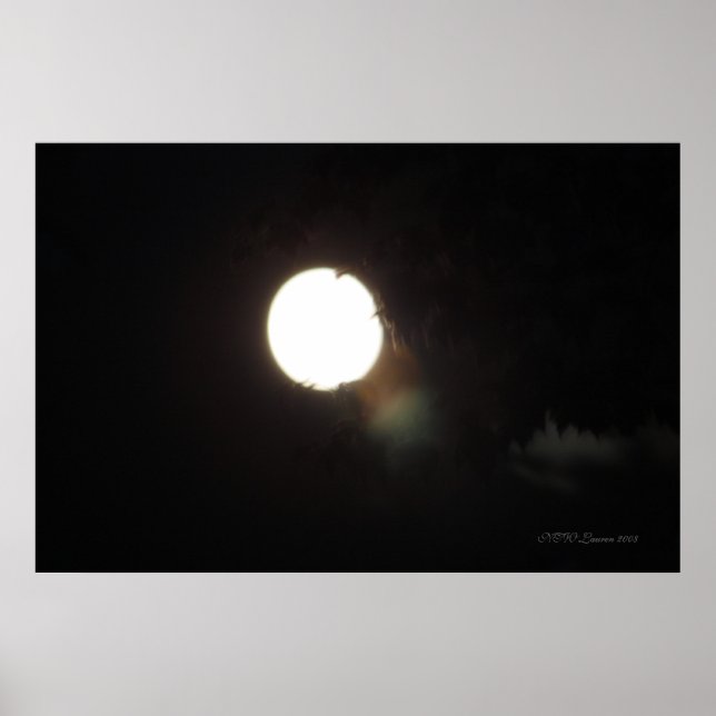 Spirituosen an einer mondbeleuchteten Nacht Poster (Vorne)