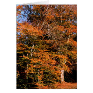 Spirituosenkarte Herbst