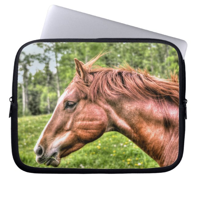 Spirituosenpferd Laptopschutzhülle (Vorderseite)