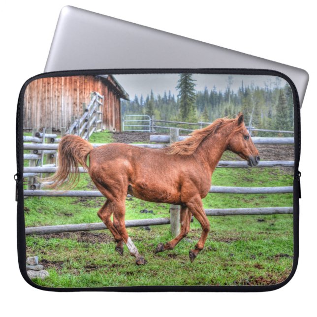 Spirituosenpony, Pferderennen auf Ranch I Laptopschutzhülle (Vorderseite)