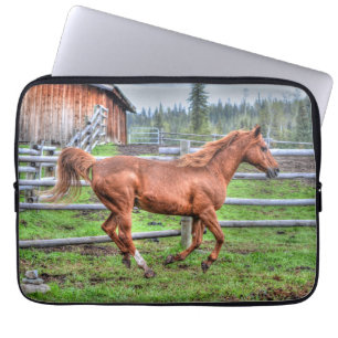 Spirituosenpony, Pferderennen auf Ranch I Laptopschutzhülle