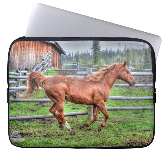 Spirituosenpony, Pferderennen auf Ranch I Laptopschutzhülle (Vorderseite)