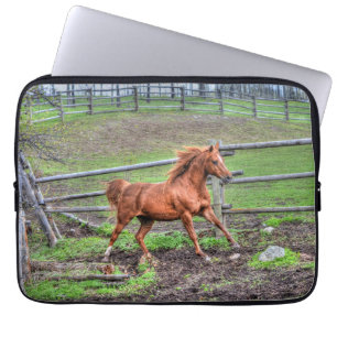 Spirituosenpony, Pferderennen auf Ranch Laptopschutzhülle