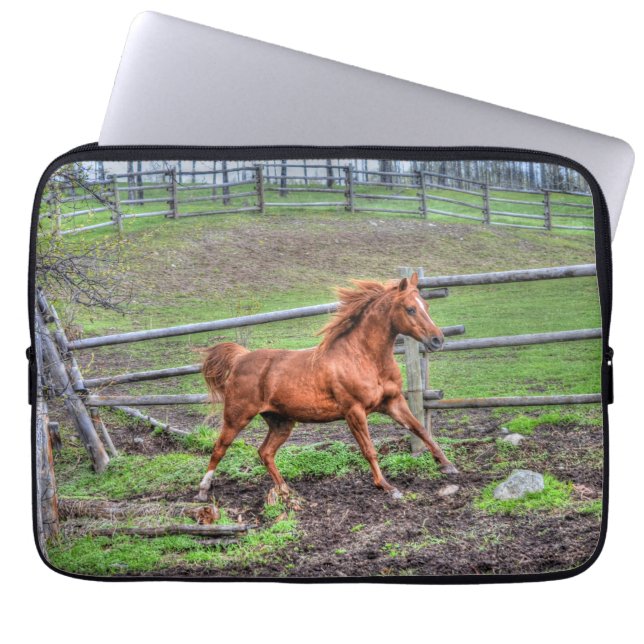 Spirituosenpony, Pferderennen auf Ranch Laptopschutzhülle (Vorderseite)
