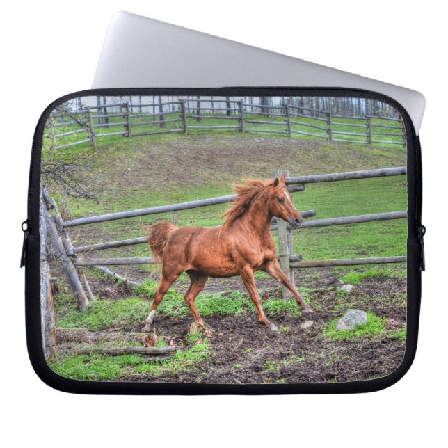 Spirituosenpony, Pferderennen auf Ranch Laptopschutzhülle (Vorderseite)