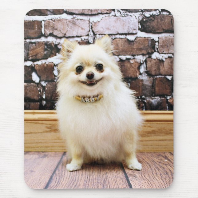 Spitz - Abby Eitelkeits-Kragen Mousepad (Vorne)