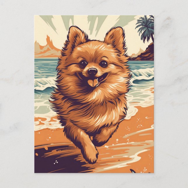 Spitz am Strand Postkarte (Vorderseite)