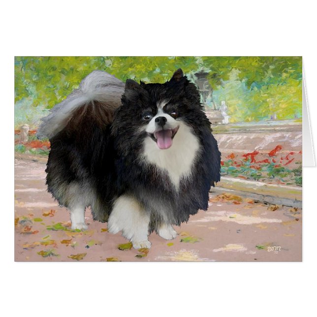 Spitz an der Schattenpromenade (Vorderseite (Horizontal))