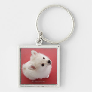 Spitz auf dem roten Teppich Schlüsselanhänger