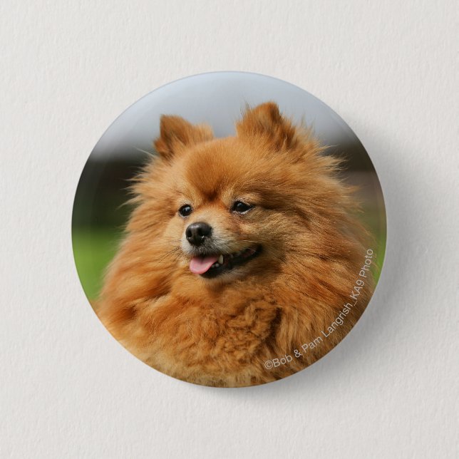 Spitz-Aufpassen Button (Vorderseite)