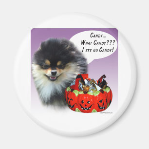 Spitz (blktan) Halloween Candy Magnet