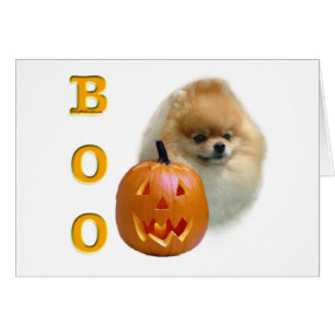 Spitz Boo