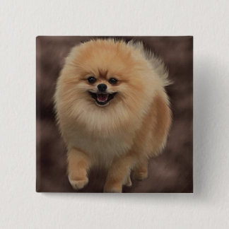 Spitz Button