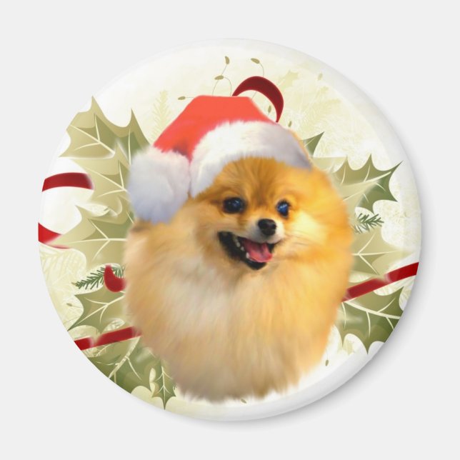 Spitz Christmas Magnet (Vorne)