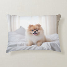 Spitz Companion