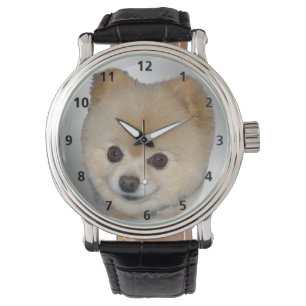 Spitz Dog Armbanduhr