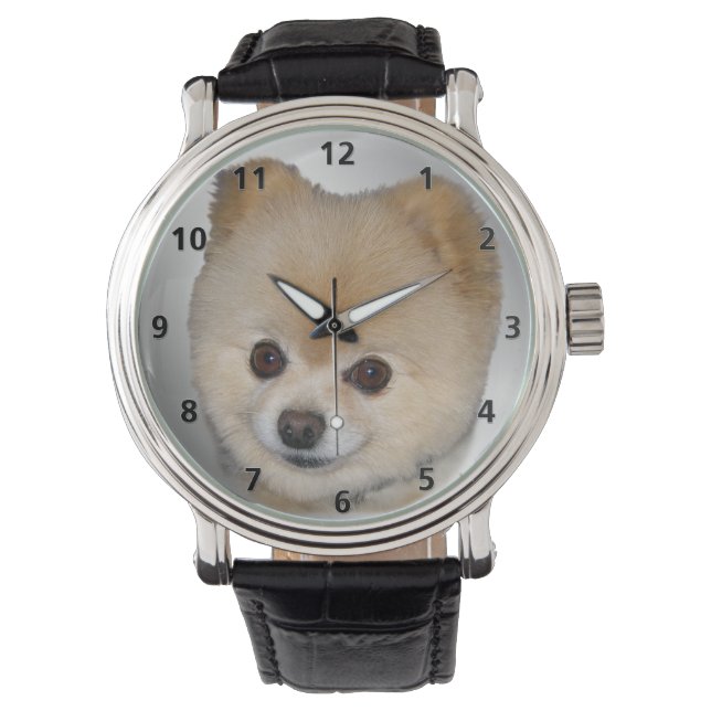 Spitz Dog Armbanduhr (Vorderseite)