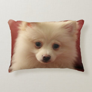 Spitz Dog Dekokissen