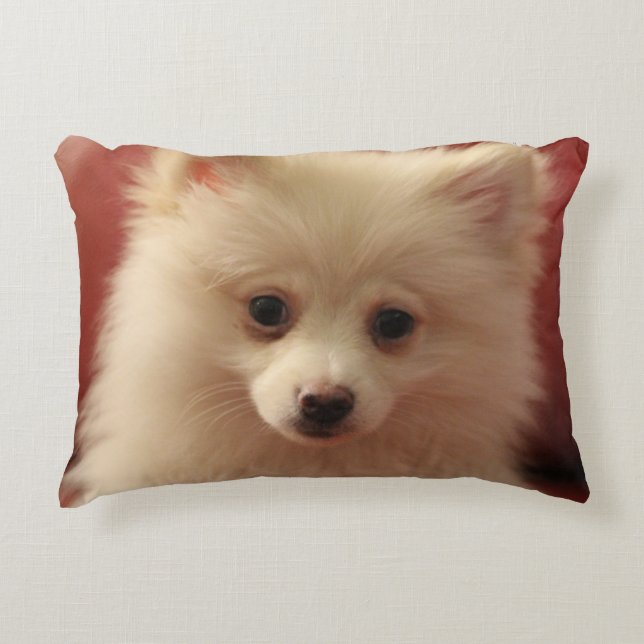 Spitz Dog Dekokissen (Vorderseite)