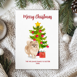 Spitz Dog Familie Weihnachten