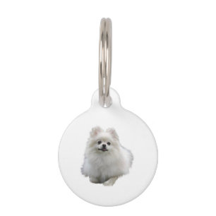 Spitz Dog Haustiermarke